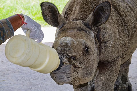 Hot summer day in Kanpur